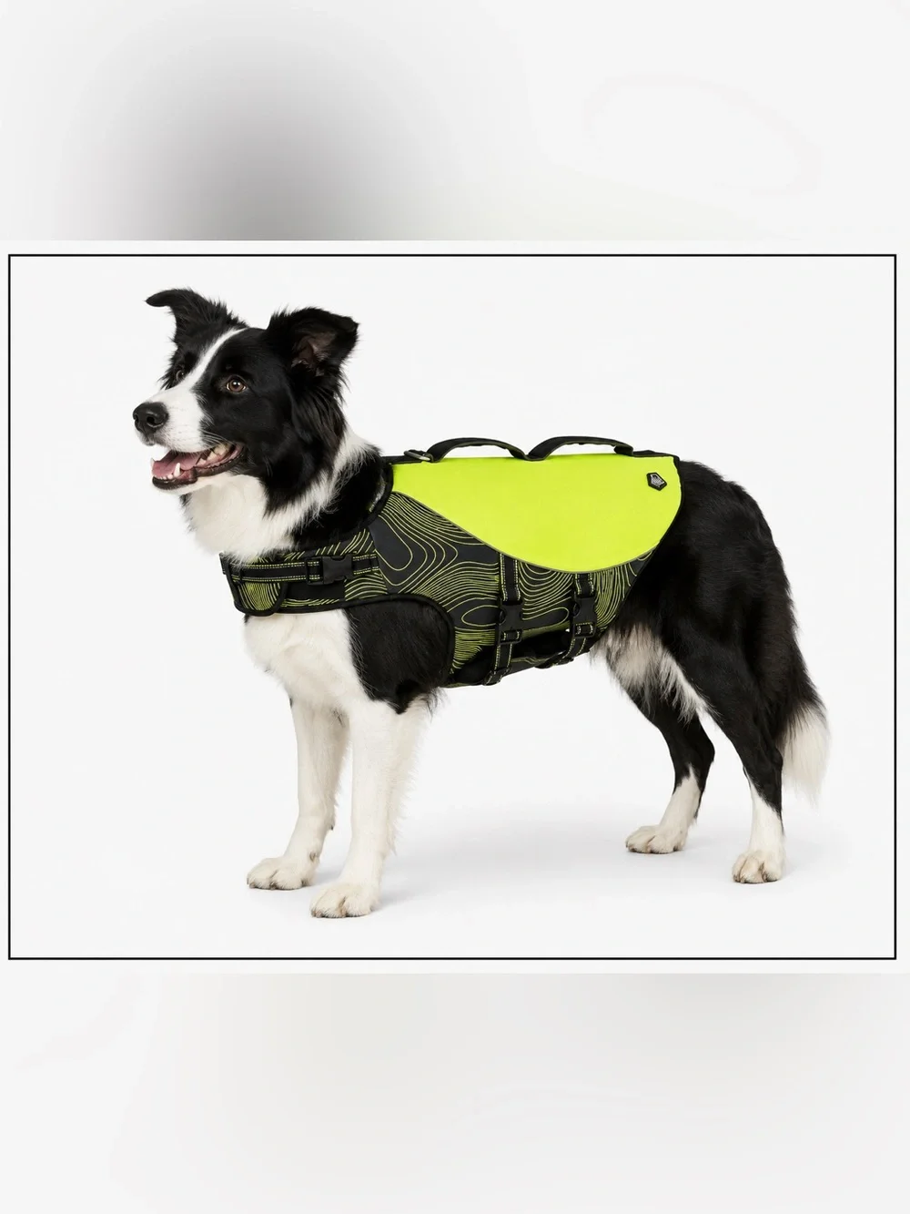 Arcadia Trail Medium High Visibility Dog Life Jacket Flotation Vest Neon Yellow